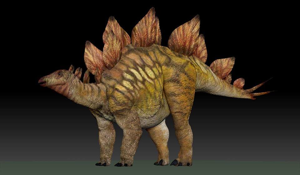 stegosaurus fossils and archeology