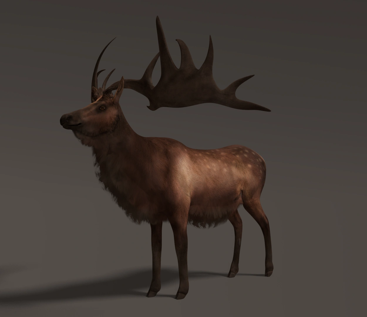 Image Prehistoric Kingdom Male Megaloceros.png Fossils and