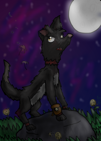 File:Darkmoon OC.png