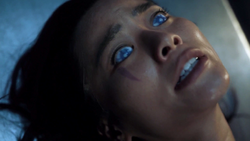 TG-Caps-1x02-rX-104-Blink