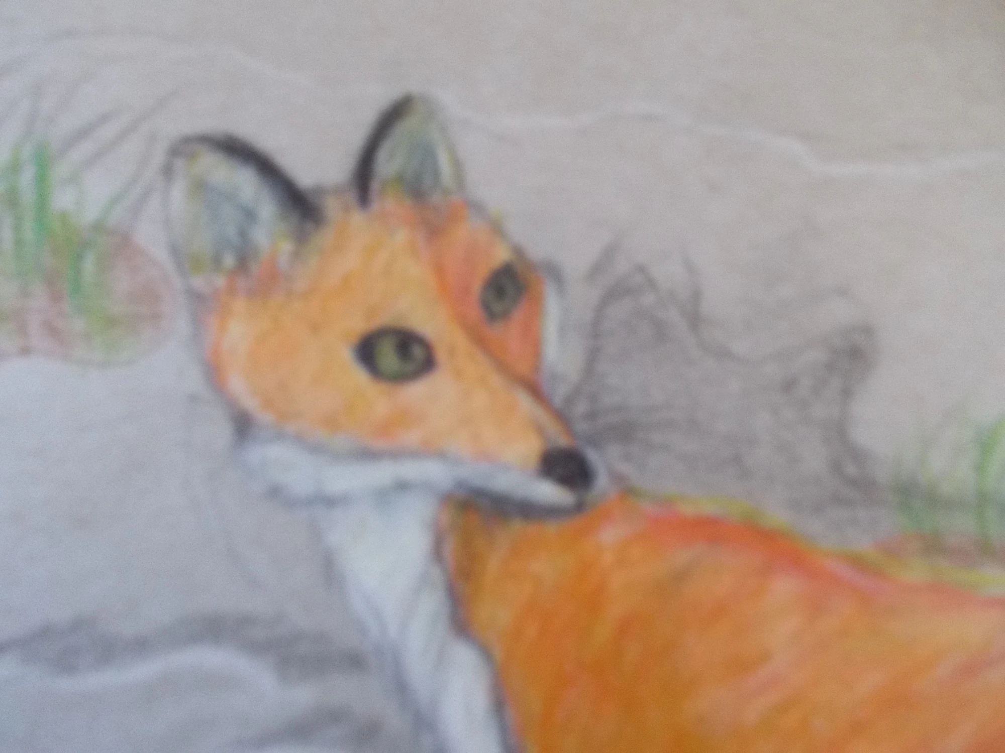 CategoryCharacters Foxcraft Wikia FANDOM powered by Wikia