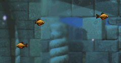 Poissonrouge2