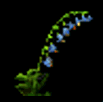 Fleurbleue