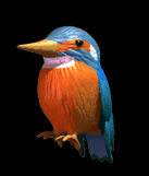 Martinpecheur