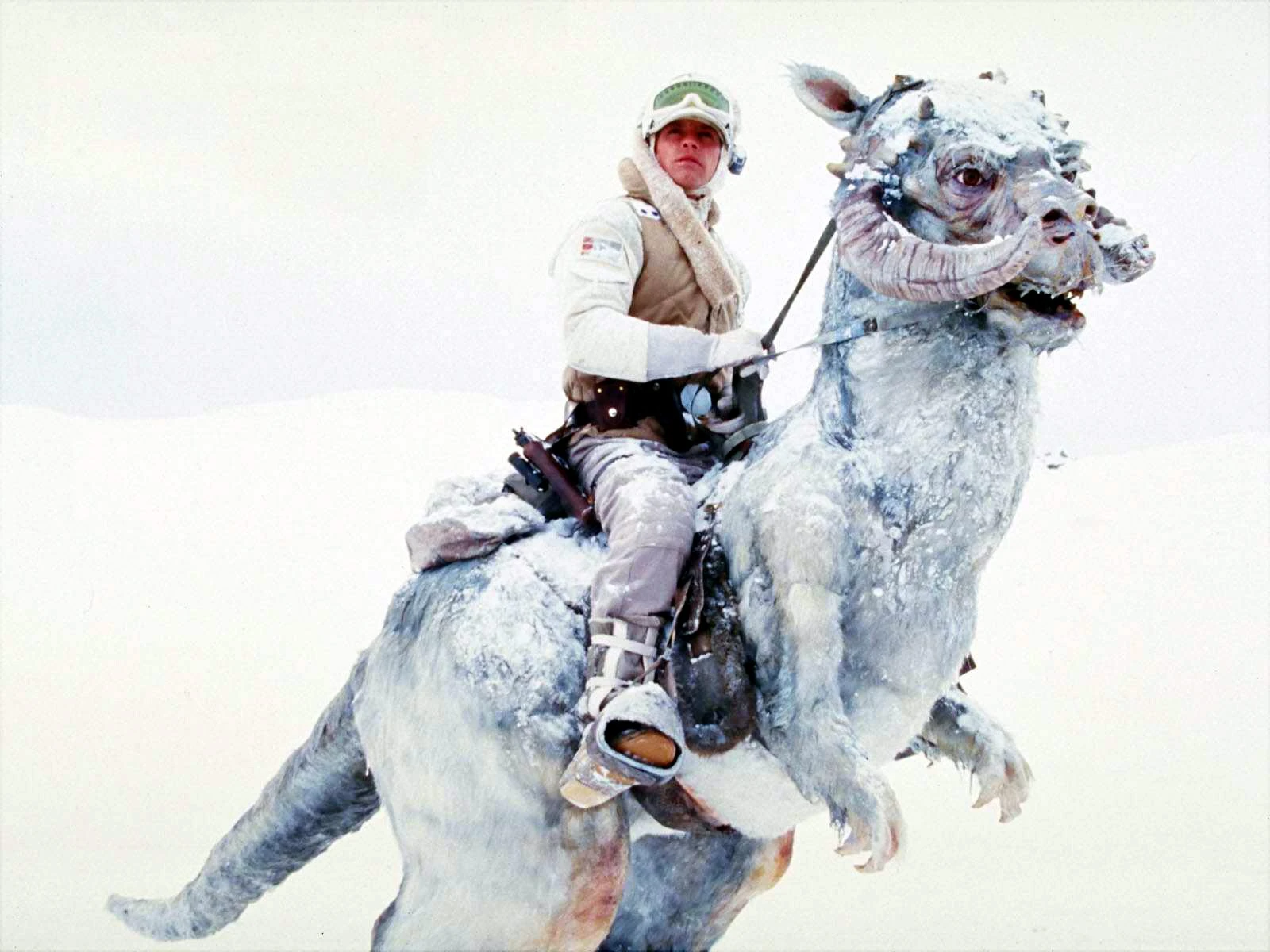 Tauntaun Star Wars Wiki FANDOM powered by Wikia