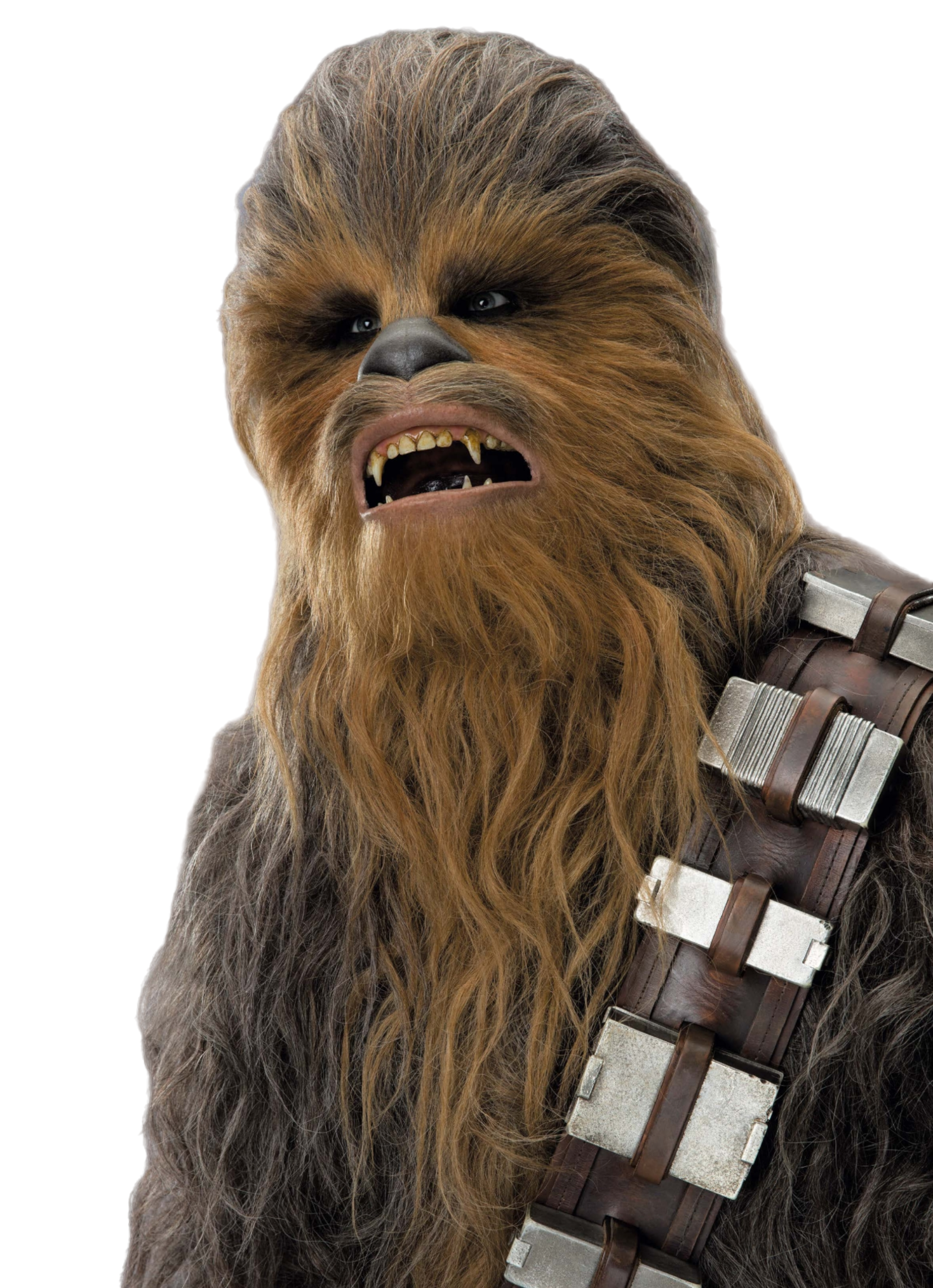 chewbacca star wars - chewbacca france inter