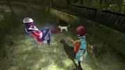 Seto Sai Follow Cat