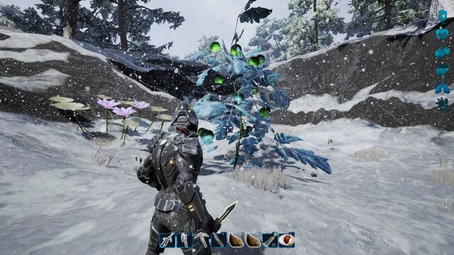 File:Fragmented snow biome1.jpg