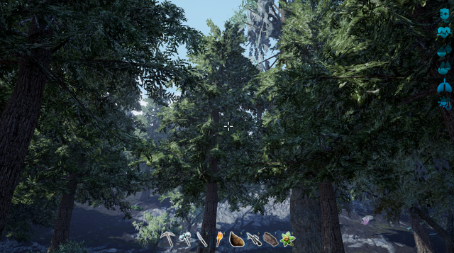 File:Loblolly Pine Tree.png