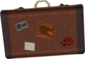 Valise