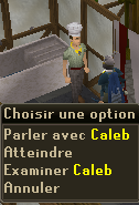 Caleb (Armoiries de famille)