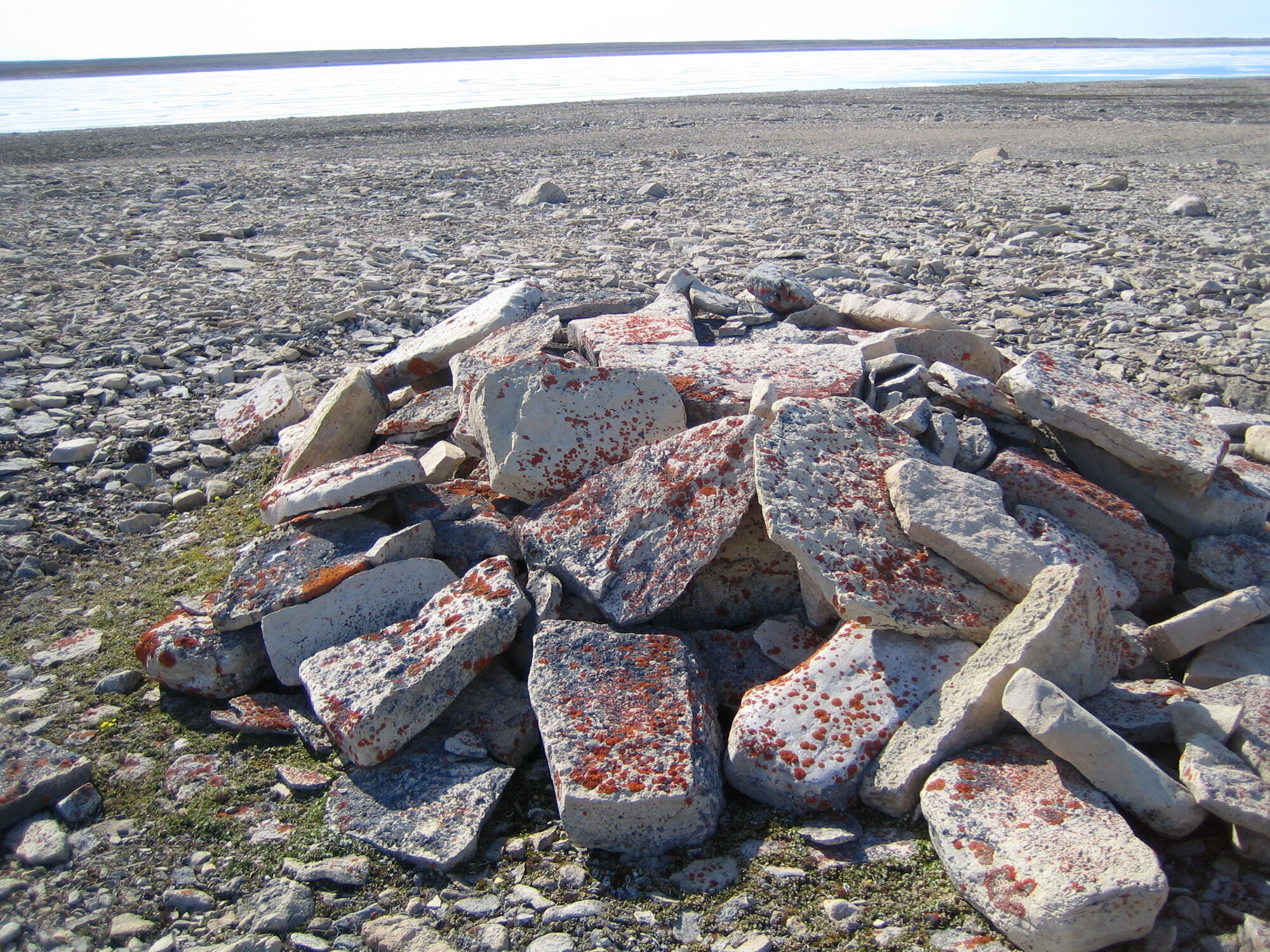 Gore Point Cairn | Franklin Expedition Wiki | Fandom