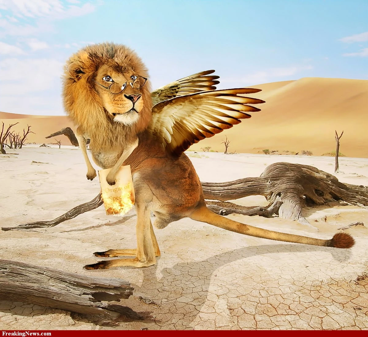 Image KangarooLionBirdAnimal82886.jpg Freakin' Bird Wiki