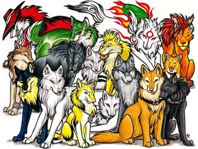 The pack
