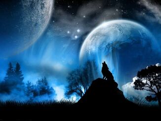 Wolf howling at moon