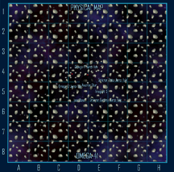 Omega 41 system