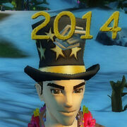 2014 party hat
