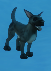 Nox