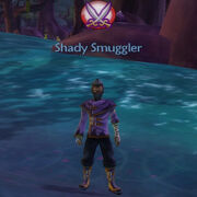 Shady Smuggler