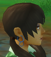 Double Hoop Earrings