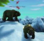LostBearCubs