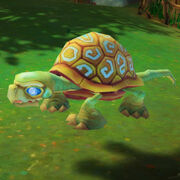 Turtle
