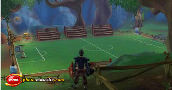 Freerealms soccer02