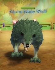 Alpha Male Wolf