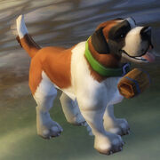 Bernard