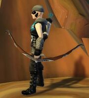 Archer's Recurve Bow of Stunning held