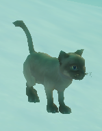 Gizmo