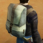 Lost Treasures Backpack