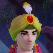 Ruby encrusted turban