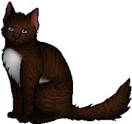 Hawkfrost