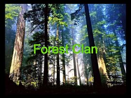 Forest Clan Flag v.2