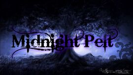 Midnight Pelt