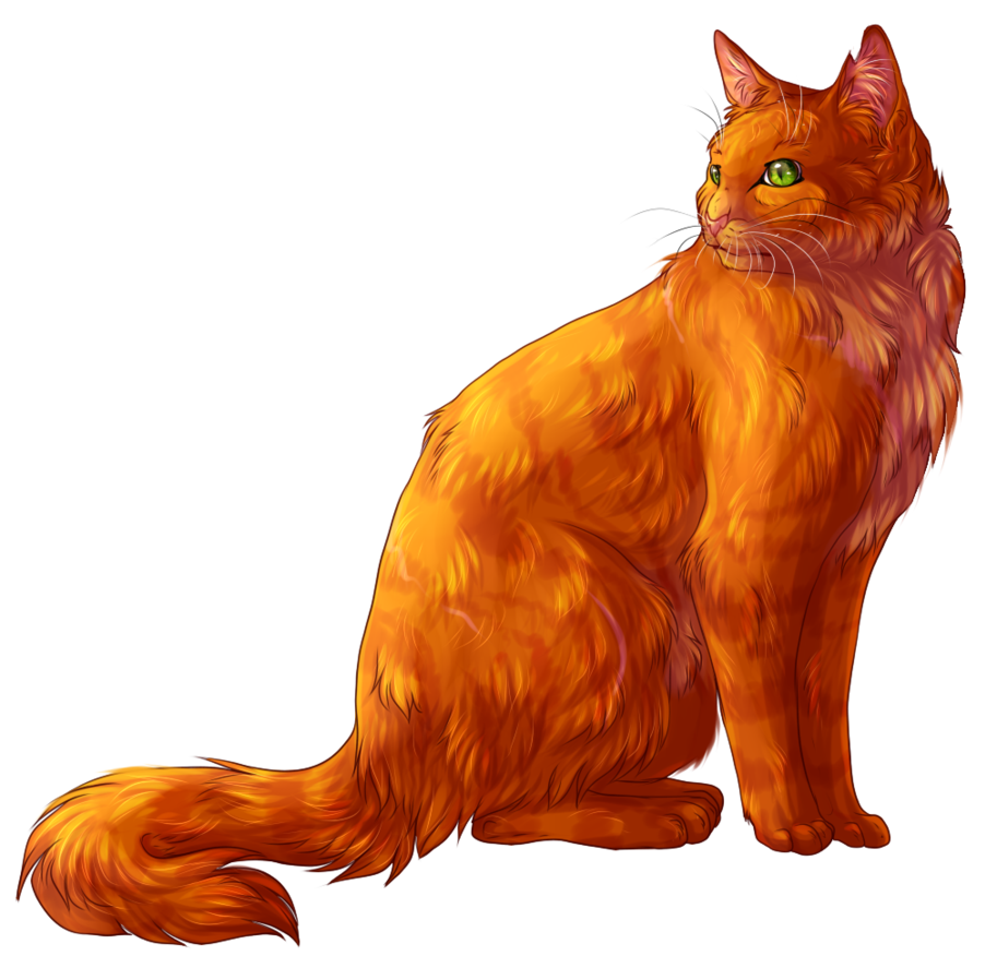 Image - Firestar.png | Free Realms Warrior Cats Wiki ...