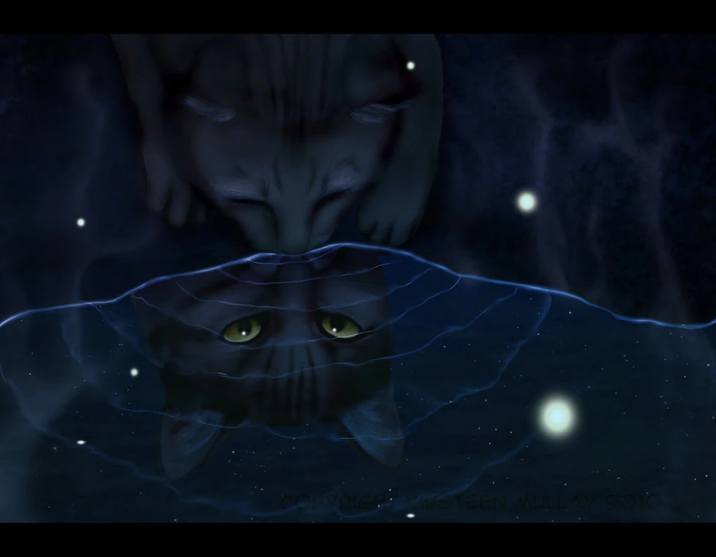 Image Aurora in at the moonpool.jpg Free Realms Warrior Cats Wiki