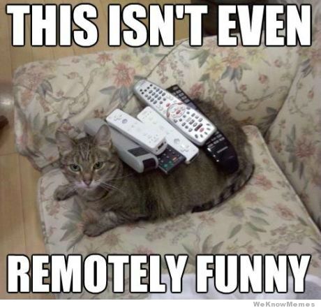 Remotely Funny Cat Remotely Funny Cat