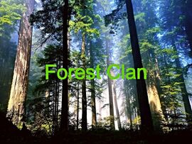 Original Forest a Clan Flag