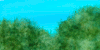 Warrior cats anime