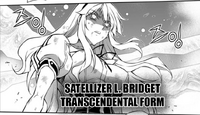 Satellizer Transcendent Form