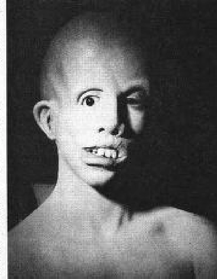 Image Ari lehman young jason.png Friday the 13th Wiki FANDOM