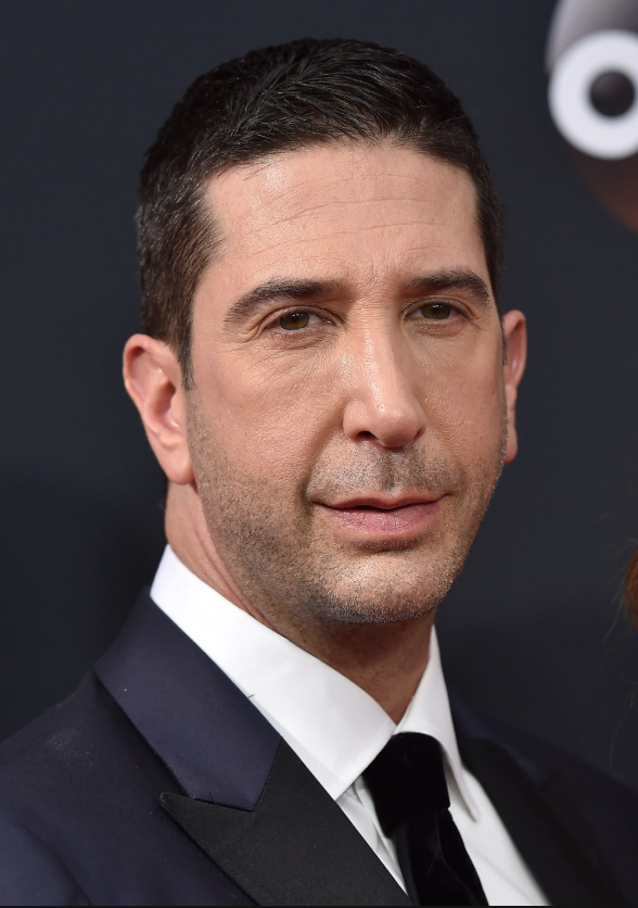 David Schwimmer | Friends Central | FANDOM powered by Wikia