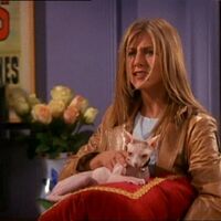 Mrs Whiskerson Friends Central Fandom