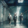 1474085 serial fringe medium