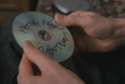 221 CD