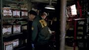 Scott files