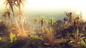 Vegetation