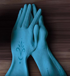 Elsa's gloves